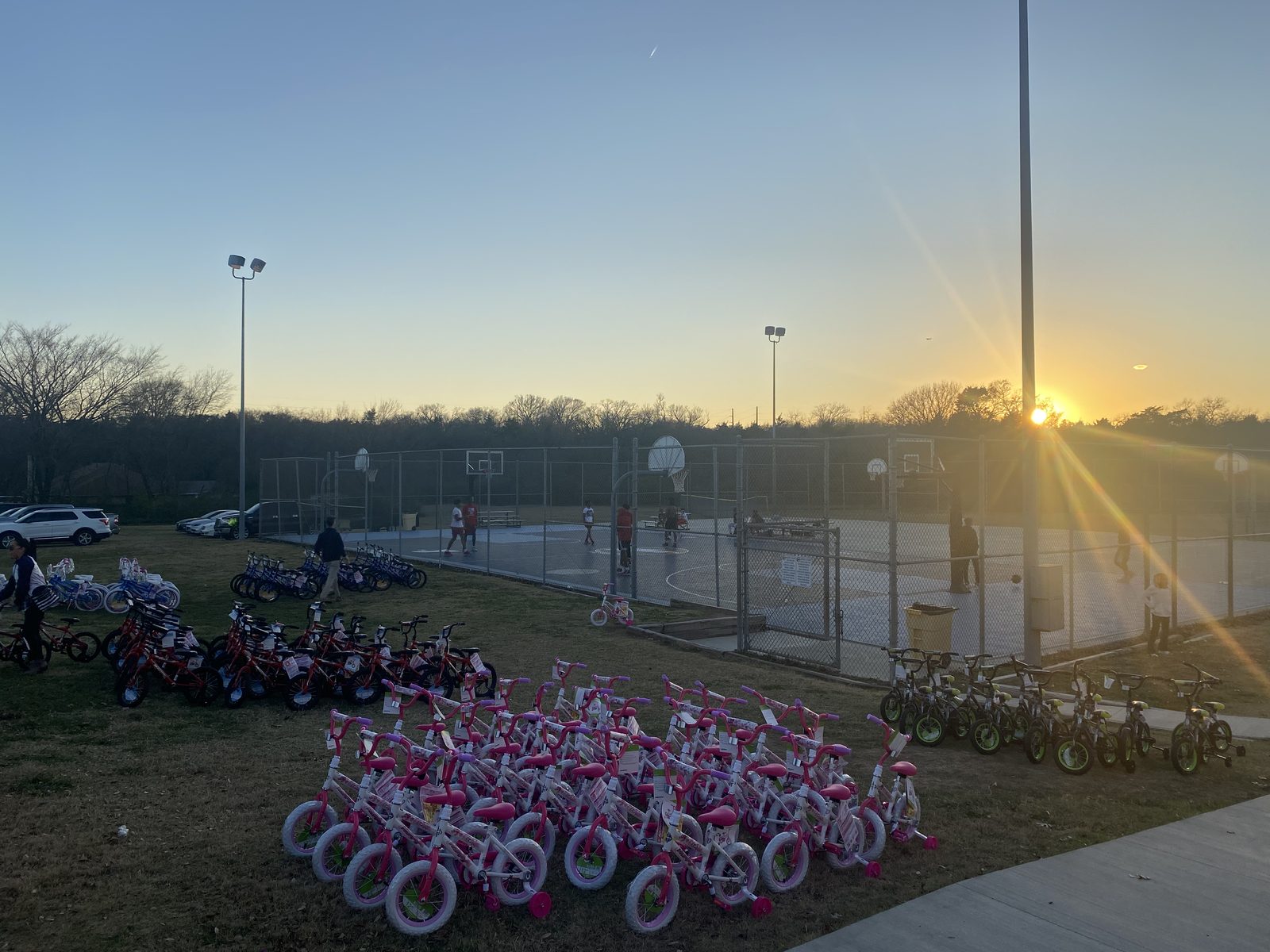 Hundreds of bicycles arranged at sunset for the Holly Jolly giveaway