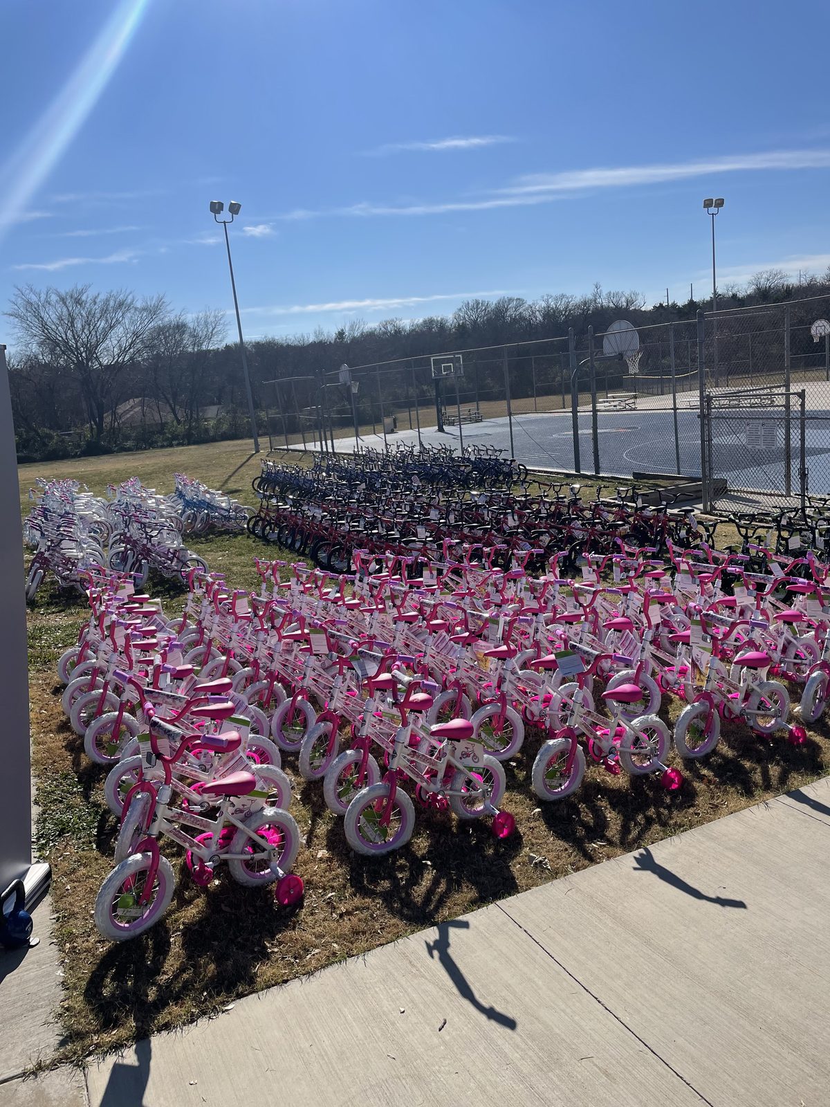 Rows of bikes under a blue sky at Holly Jolly