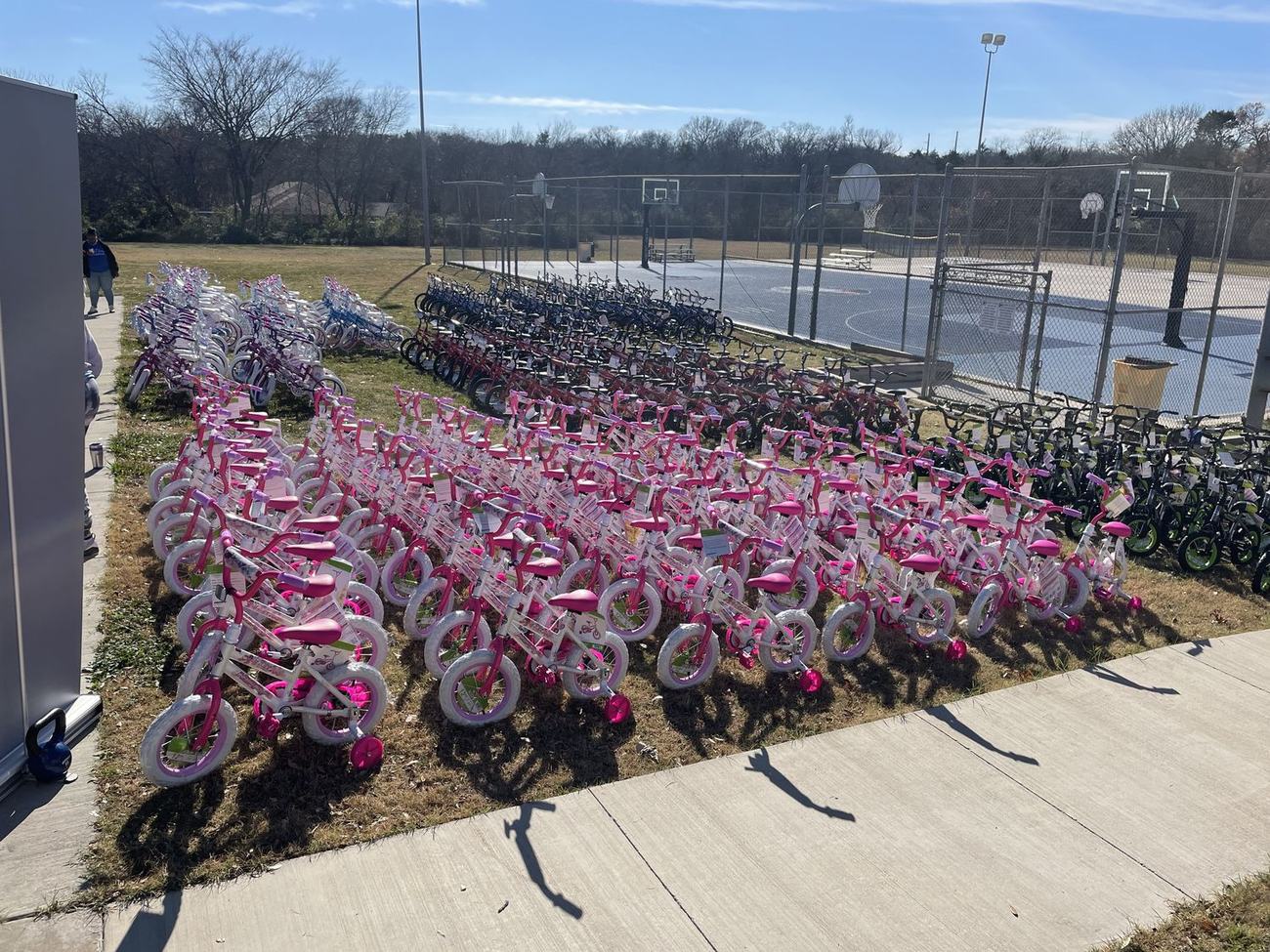 Rows and rows of bikes ready at Holly Jolly